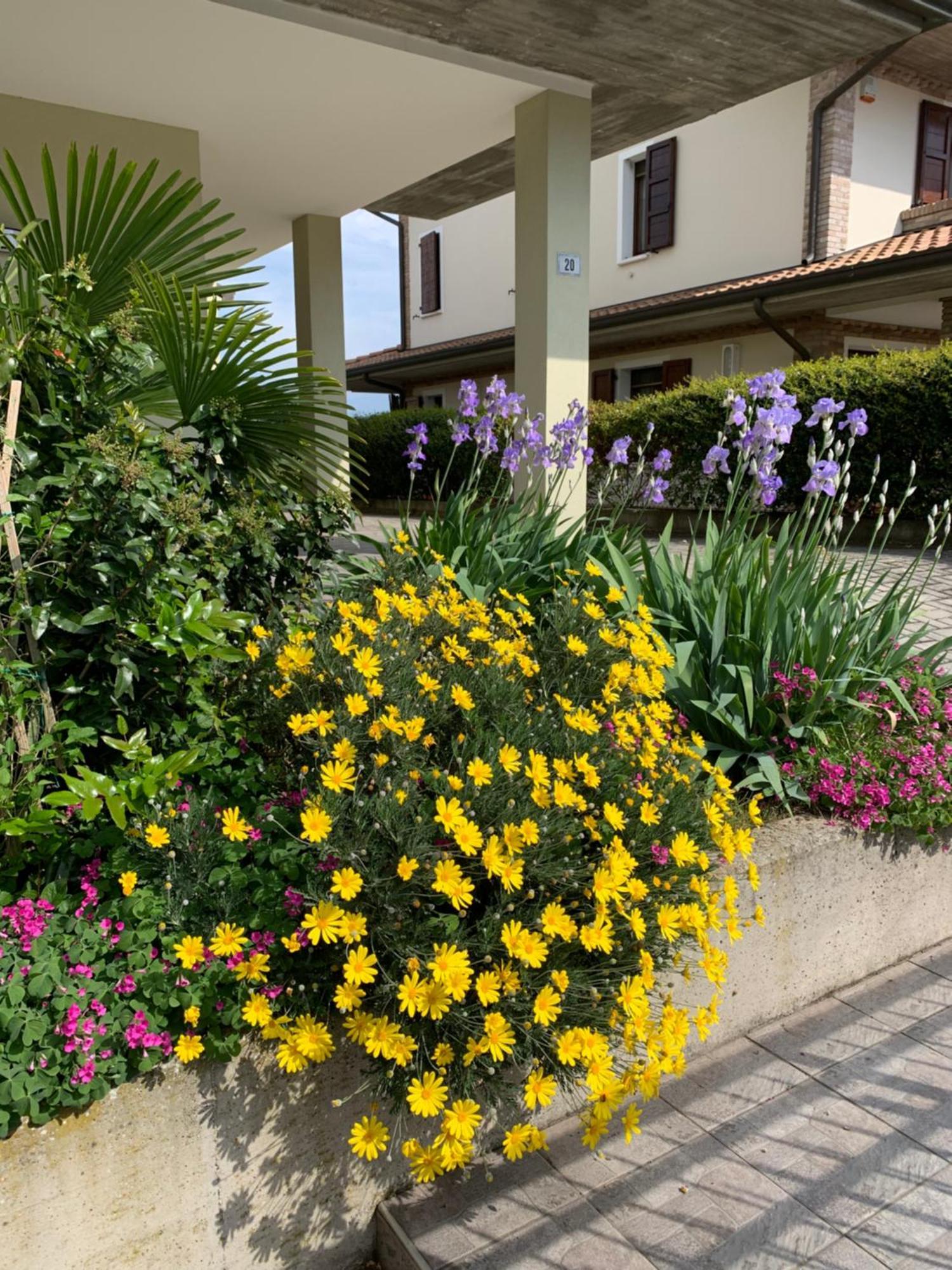 B&B La Salina Cannuzzo Exterior foto
